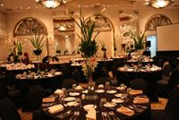 thumb-IMG-0017-59b313e1-ac89-11ef-9c30-85d7b0b6ea5a-76218520-ac89-11ef-8768-f1b6b7f909cb